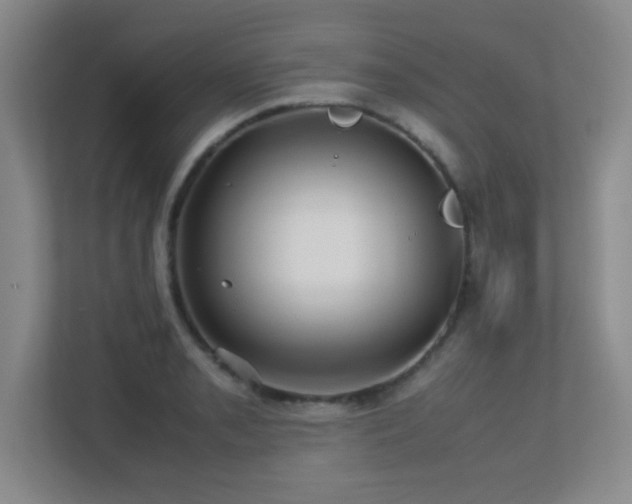 X0000113211085200909101127
