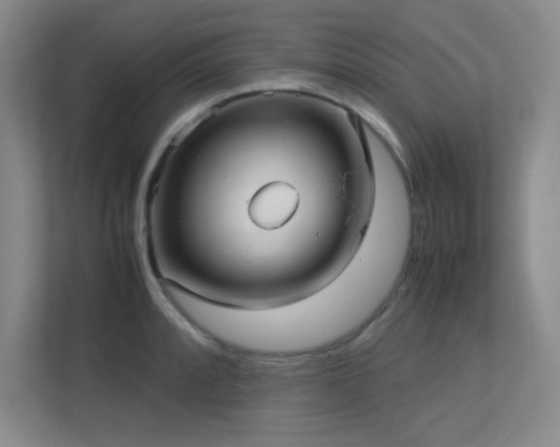 X0000113211088200909101127