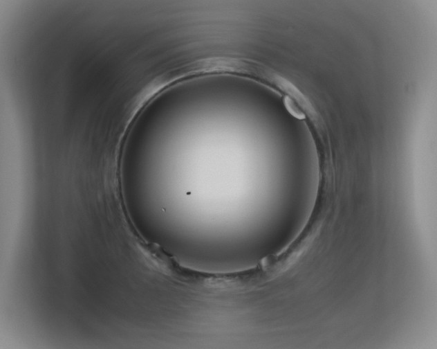 X0000113211089200909101127
