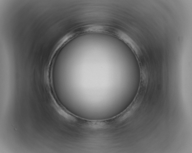 X0000113211090200909101127
