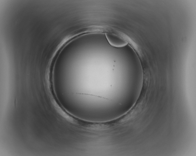 X0000113211091200909101127
