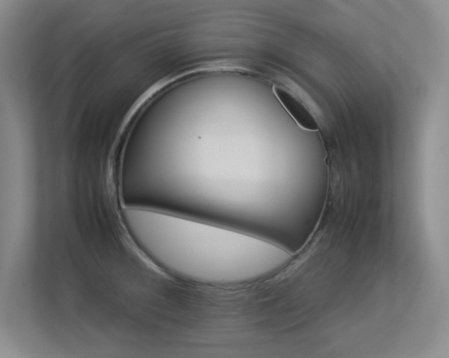 X0000113211092200909101127