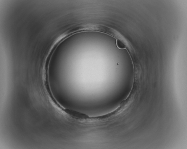 X0000113211095200909101127
