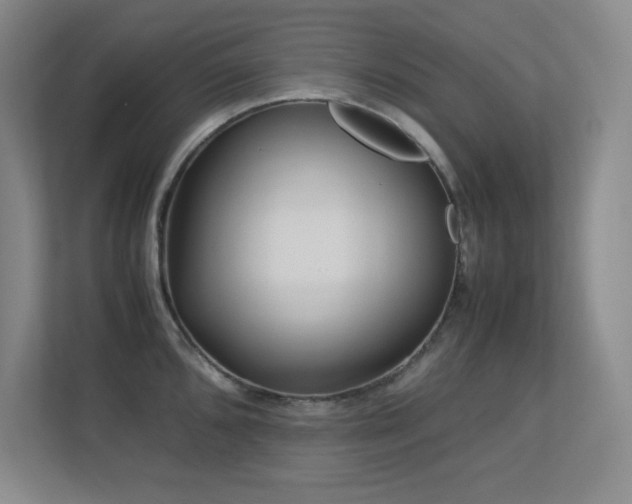 X0000113211096200909101127