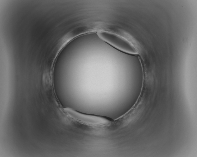 X0000113211097200909101127