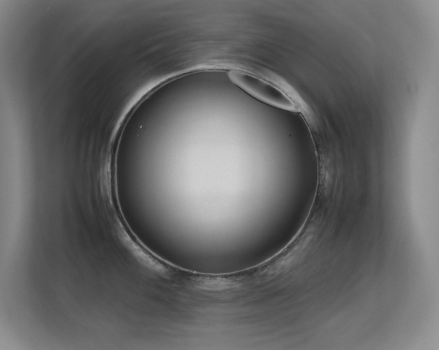 X0000113211100200909101127