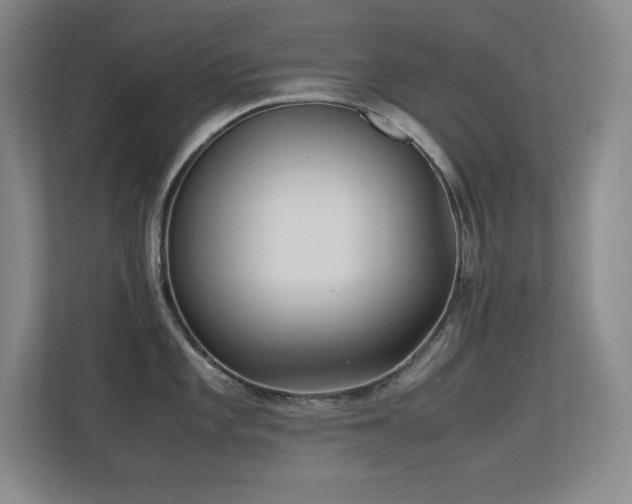 X0000113211101200909101127