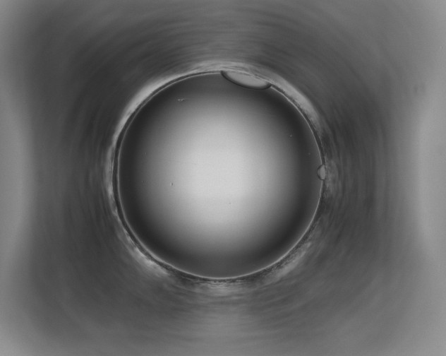 X0000113211102200909101127
