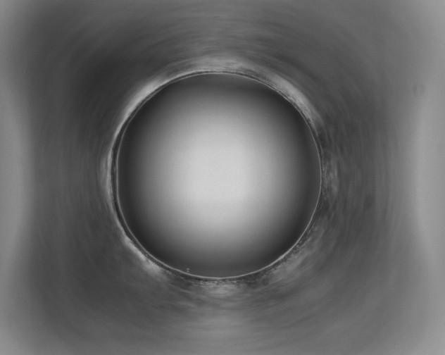 X0000113211103200909101127