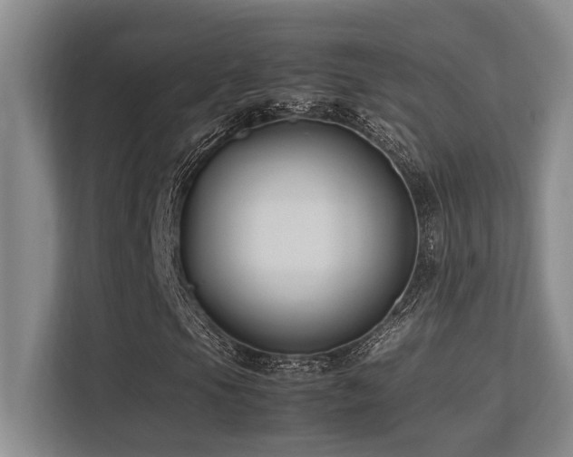 X0000113211105200909101126