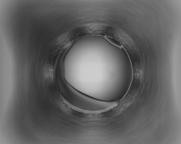 X0000113211108200909101126