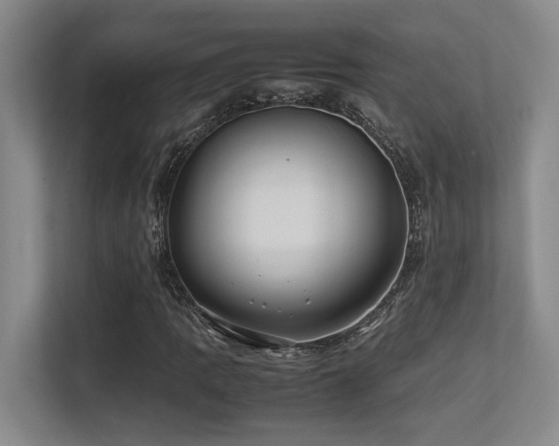 X0000113211109200909101126