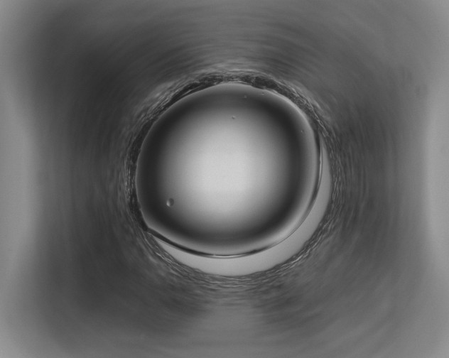 X0000113211110200909101126