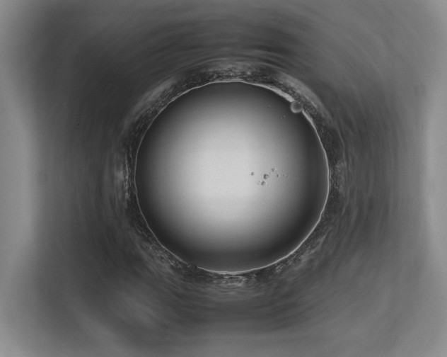 X0000113211111200909101126