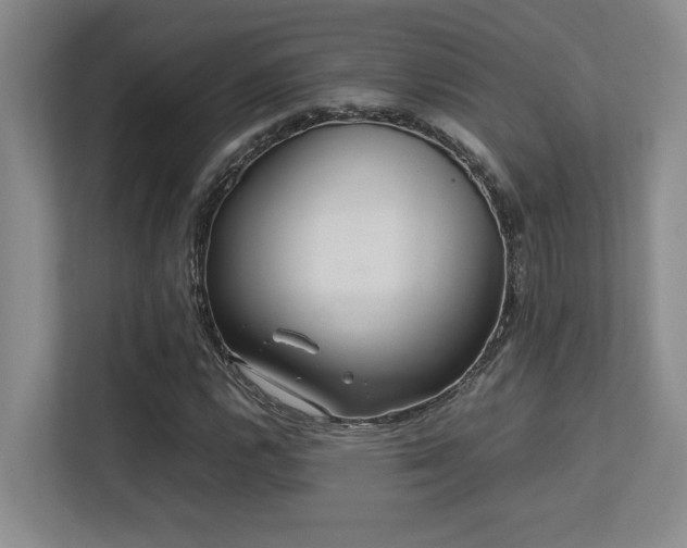 X0000113211112200909101126