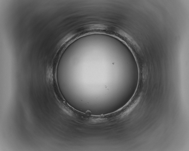 X0000113211113200909101126