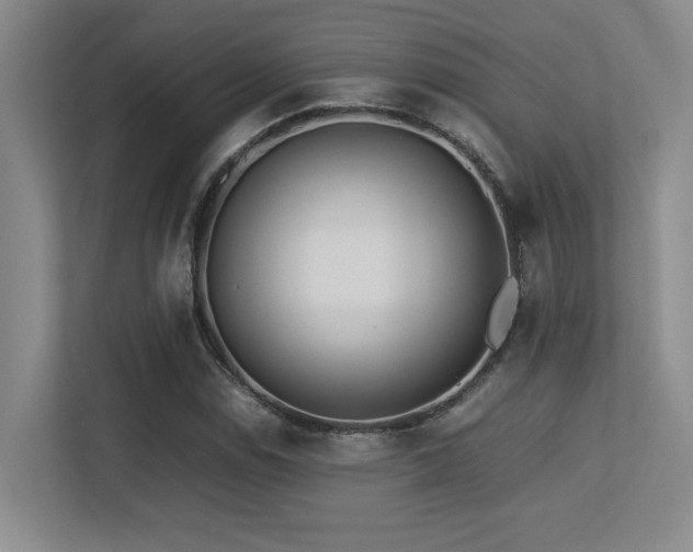 X0000113211114200909101126
