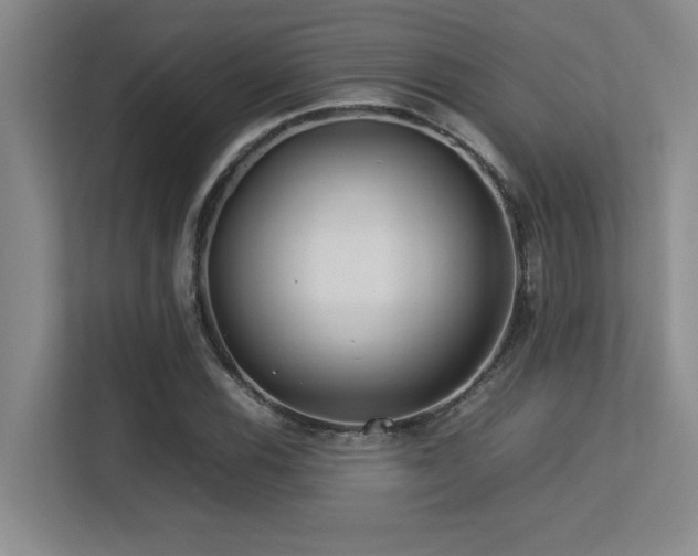 X0000113211116200909101126