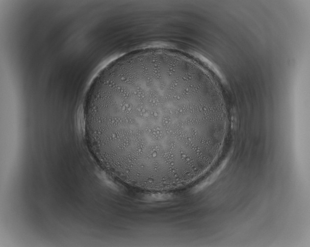 X0000113211117200909101126