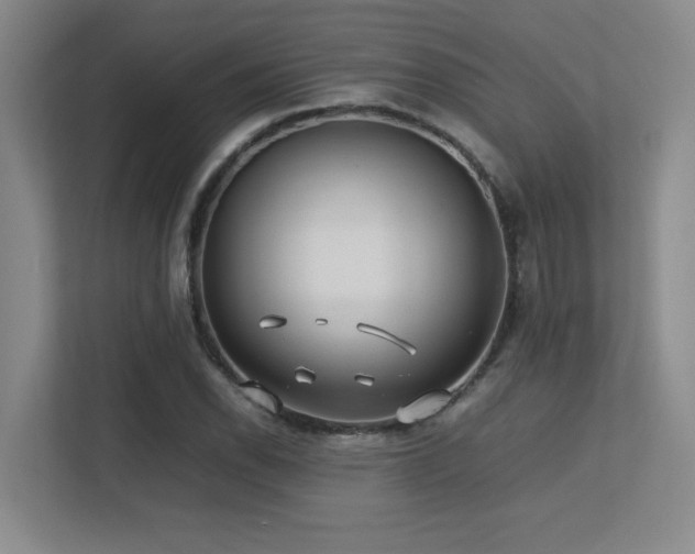 X0000113211118200909101126