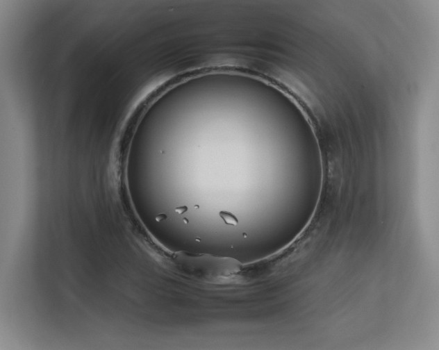 X0000113211119200909101126