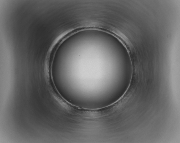 X0000113211120200909101126