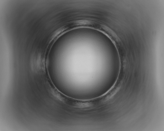 X0000113211121200909101126