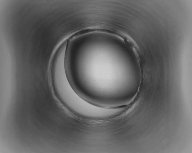 X0000113211122200909101126