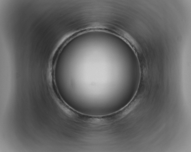 X0000113211124200909101126