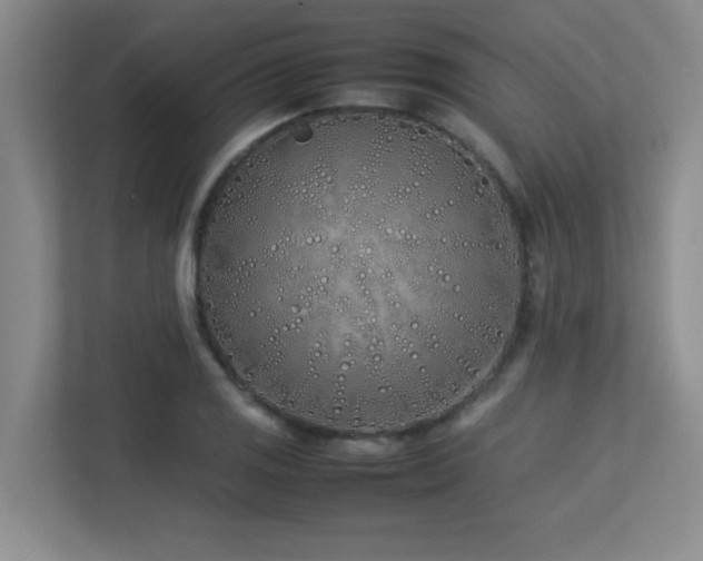 X0000113211125200909101126