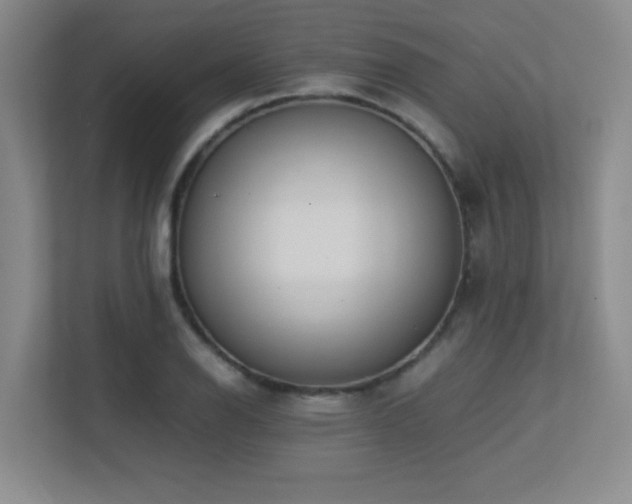 X0000113211126200909101126