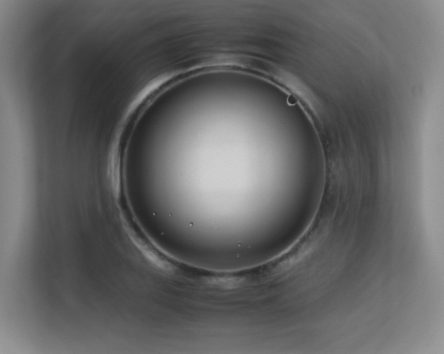 X0000113211127200909101126