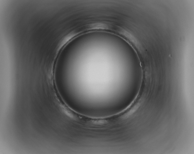X0000113211129200909101126
