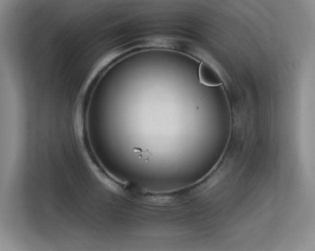 X0000113211131200909101126
