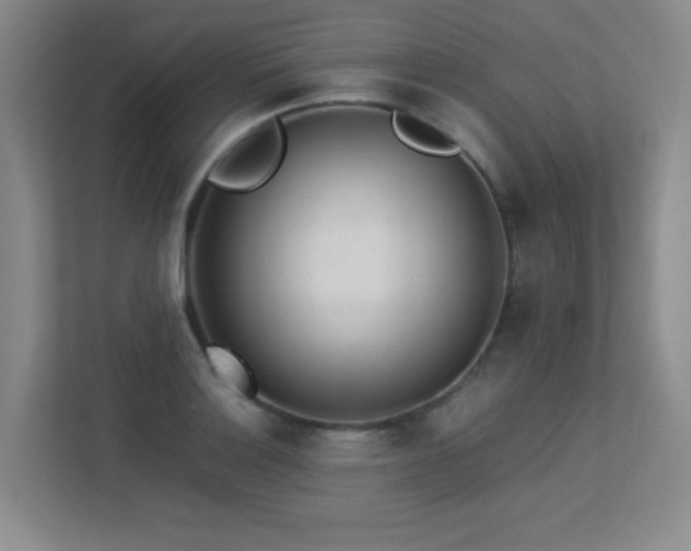 X0000113211132200909101126