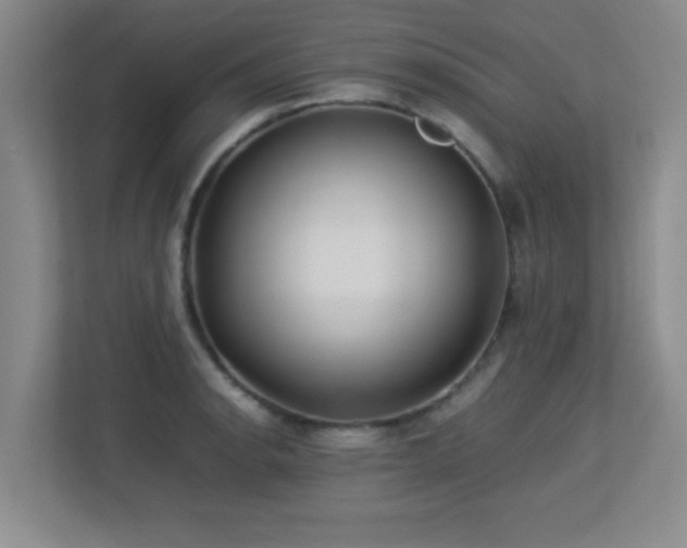 X0000113211134200909101126