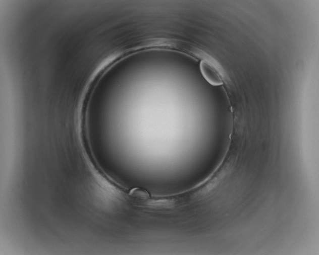 X0000113211135200909101126