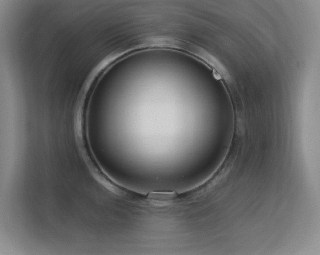 X0000113211136200909101127