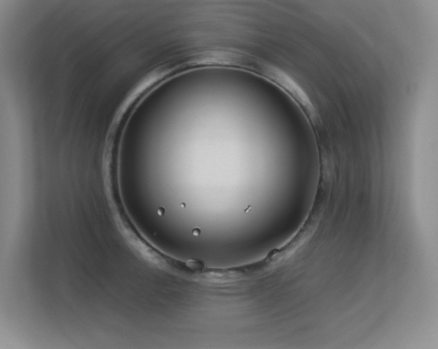 X0000113211138200909101127