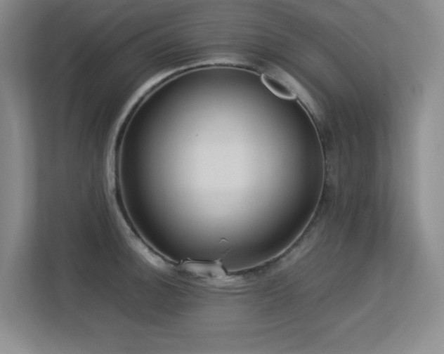 X0000113211140200909101127