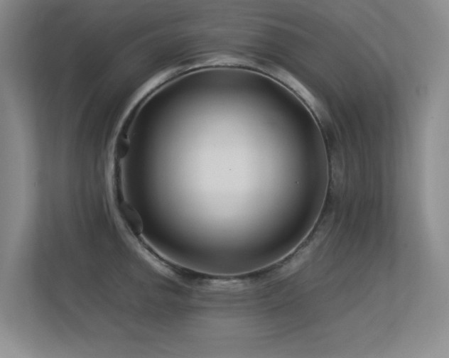 X0000113211142200909101127