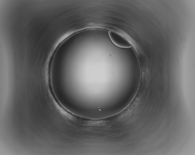 X0000113211143200909101127