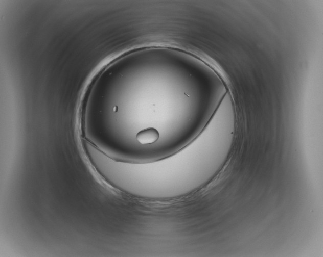 X0000113211144200909101127