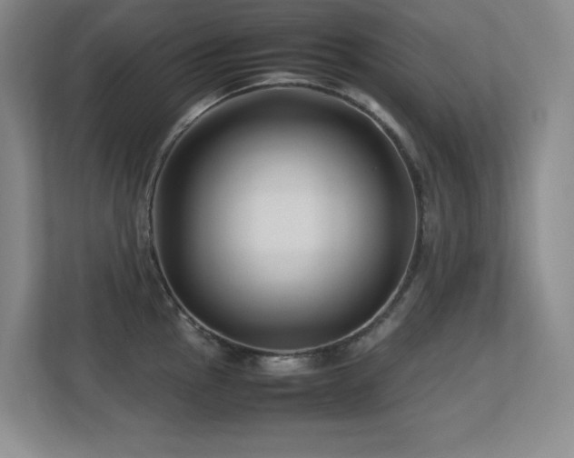 X0000113211145200909101127