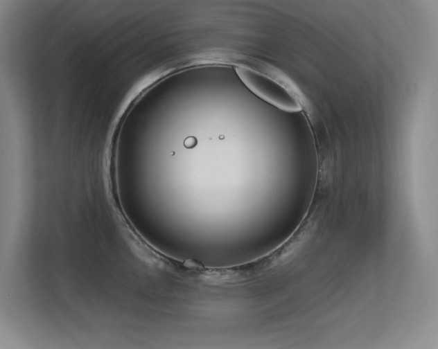 X0000113211146200909101127