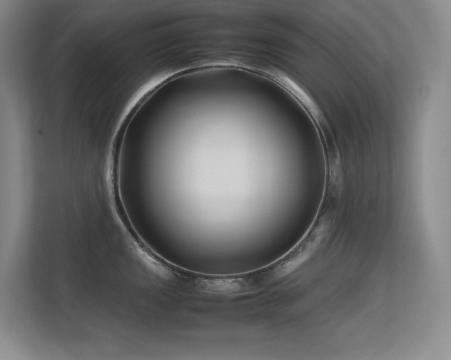 X0000113211149200909101127