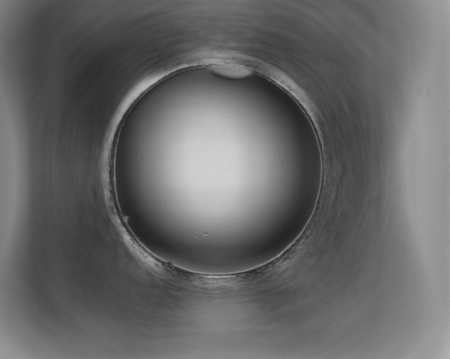 X0000113211152200909101127
