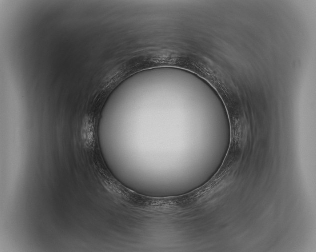 X0000113211154200909101126