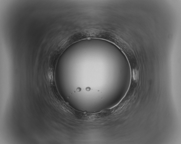 X0000113211155200909101126