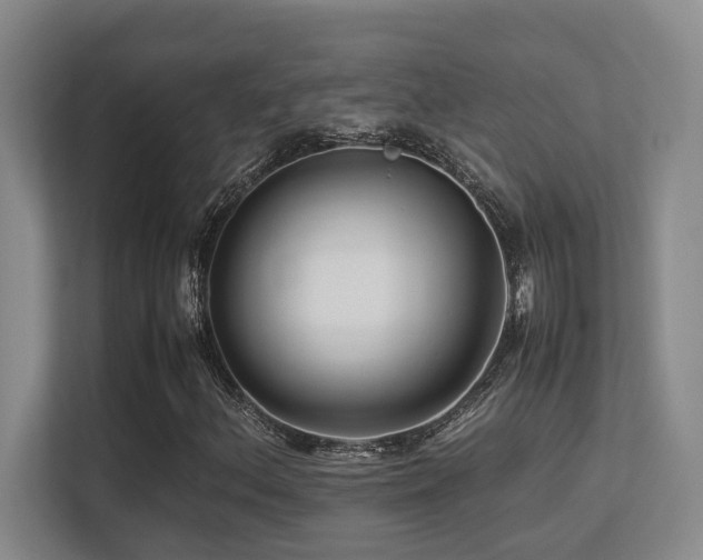 X0000113211156200909101126